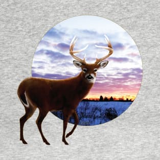 Sunrise Whitetail T-Shirt